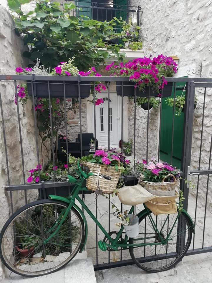 Apartman Teta Jadre Makarska Bagian luar foto